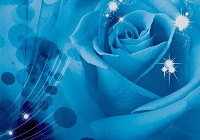 Флизелиновые фотообои в интерьере прихожей цветы 254x184 см Бутон синей розы (581V4)+клей