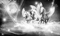 Флизелиновые фотообои в спальню Животные Лошади 254x184 см Черно-белые пегасы (590V4)+клей