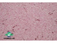 Рідкі шпалери Юрскі Роза 602 Малиновий