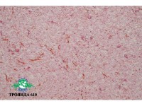 Рідкі шпалери Юрскі Роза 610 Рожевий