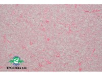 Жидкие обои Юрски Роза 613 Розовый