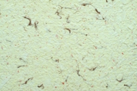 Рідкі шпалери Юрскі Роза 615 Жовтий