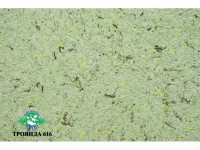 Жидкие обои Юрски Роза 616 Зеленый