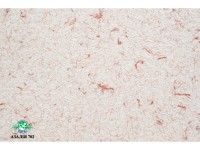 Жидкие обои Юрски Азалия 702 Белый