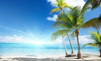 Флізелінові шпалери фото Море Океан Пейзаж 254x184 см 3Д Сонячний пляж і пальми (735V4)+клей - вид 1 мініатюра