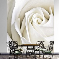 Флизелиновые фотообои в узкой прихожей цветы 206x275 см 3Д Бутон белой розы (8-001VEA)+клей