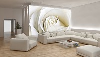 Флизелиновые фотообои цветы на стену 312x219 см Макро белая роза (8-001VEXXL) +клей