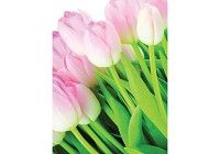 3д флизелиновые фотообои в зал фото цветы 184x254 см Розовые тюльпаны (8-018V4A)+клей