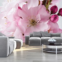 Флизелиновые фотообои для гостиной комнаты фото 368x280 см Большие розовые цветы сакуры (8-020V10)+клей