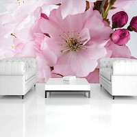 Флизелиновые фотообои в узкой прихожей 254x184 см Большие розовые цветы сакуры (8-020V4)+клей