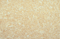 Жидкие обои Юрски Орхидея 806 Бронзовый