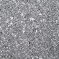 Жидкие обои Юрски Орхидея 813 Черный