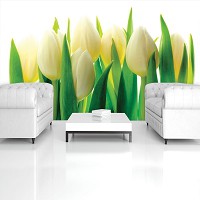 Флизелиновые фотообои Большие цветы 368x254 см Тюльпаны на белом фоне (894V8)+клей - вид 7 миниатюра