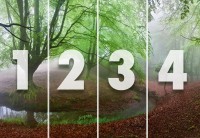 Фотообои флизелиновые 3D природа 368х254 см Wizard+Genius Мистический лес (5079-4V-1)+клей - вид 2 миниатюра