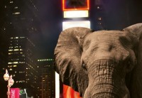 Фотообои флизелиновые 3D город 368х254 см Wizard+Genius Слон в Нью-Йорке (5178-4V-1)+клей - вид 2 миниатюра