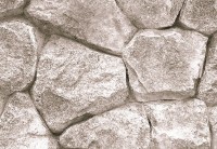 Фотообои флизелиновые 3D 368х254 см Wizard+Genius Стена из камней (5193-4V-1)+клей - вид 2 миниатюра