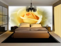 Спальня флизелиновые фотообои 254x184 см 3Д Бутон желтой розы (1569V4)+клей