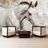 Флизелиновые фотообои для девочки подростка 254x184 см Одинокий серый конь (1218V4)+клей