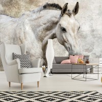 Флизелиновые фотообои в спальню 368x254 см Одинокий серый конь (1218V8)+клей
