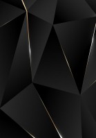 Флизелин - геометрия на фото обоях 206x275 см Абстракция - Черные треугольники (13557VEA)+клей