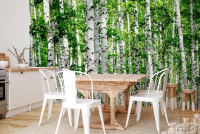 Фотошпалери з природою під розмір, вініл на флізеліновій основі - вид 1 мініатюра