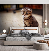 Фотошпалери з тваринами під розмір, матеріал - вініл на флізеліновій основі - вид 9 мініатюра