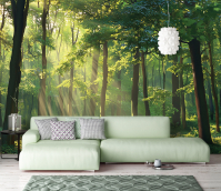 Фотообои Волшебный лес Перспектива Свет на стену с клеем 254x184 см (15449V4) +клей