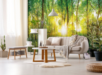 Флизелиновые 3D фотообои в виде дерева 350x250 см Природа - Весенний лес в лучах солнца с клеем (13461VX7) - вид 5 миниатюра