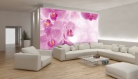 Над кроватью в спальню флизелиновые 3D фотообои цветы 368x254 см Большие розовые орхидеи (149V8)+клей
