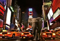 Фотообои 3D 368х254 см Wizard+Genius Слон в городе Нью-Йорк (5178-4P-1)+клей - вид 1 миниатюра