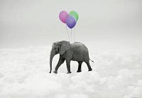 Фотошпалери 3D тварини 368х254 см Wizard + Genius Слон з кульками (5012-4P-1)+клей - вид 1 мініатюра