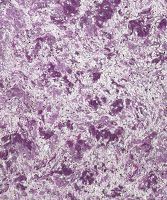 Жидкие обои 413 БиоПласт Сиреневый