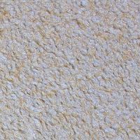 Жидкие обои 8591BP БиоПласт Желтый