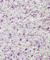 Жидкие обои 973 БиоПласт Сиреневый