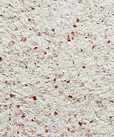 Жидкие обои 979 БиоПласт Кремовый