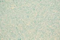 Жидкие обои Силк Пластер Оптима 056 Зеленый