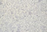 Рідкі шпалери Сілк Пластер RELEF 330R