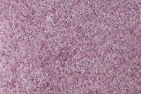 Жидкие обои Силк Пластер Сауф 948 Сиреневый